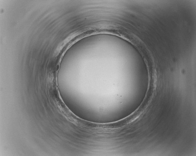 X0000051921065200507152051