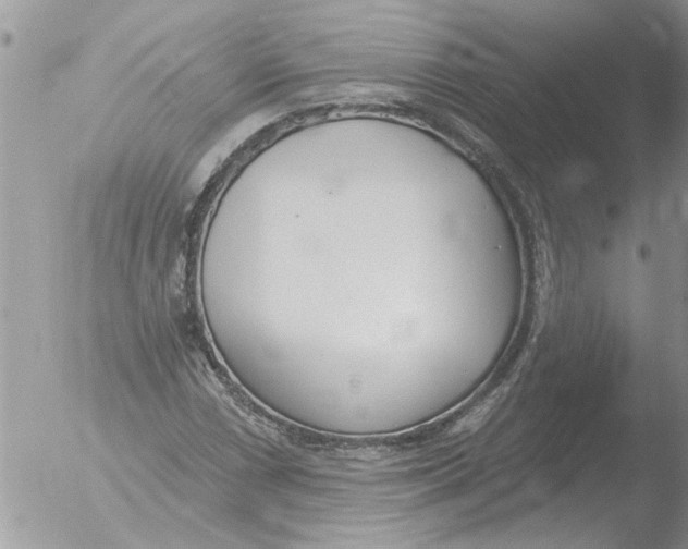 X0000051921066200507152051