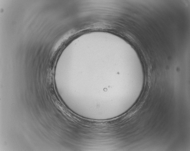 X0000051921067200507152051