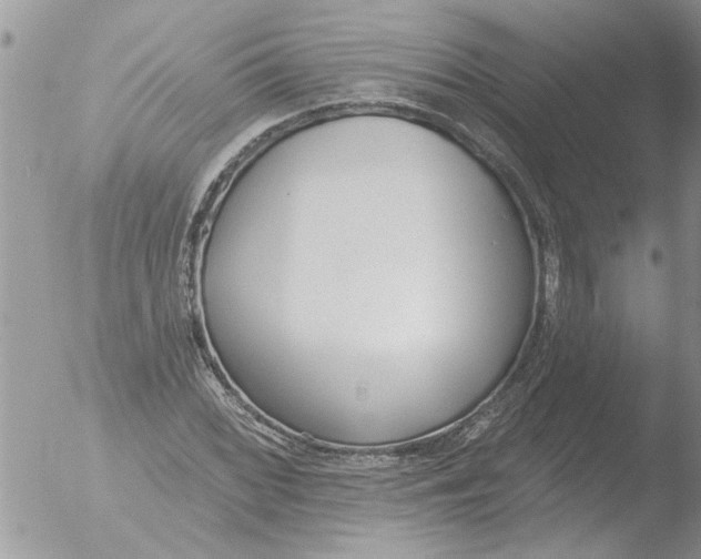 X0000051921068200507152051