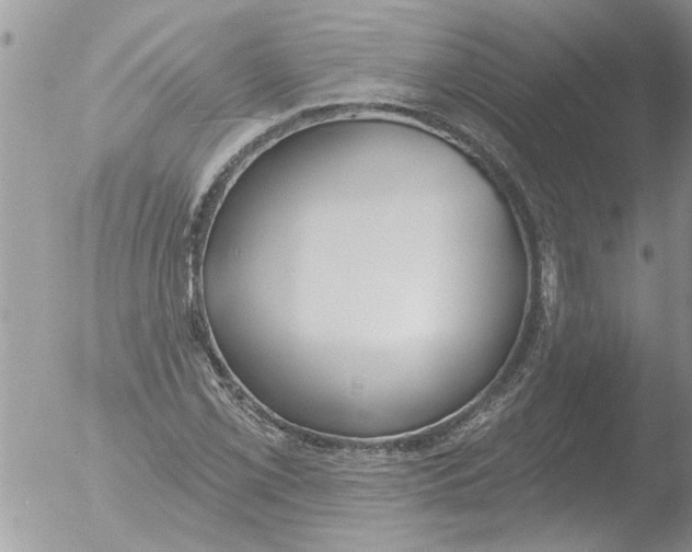 X0000051921069200507152051