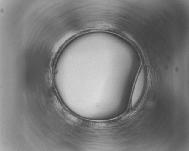 X0000051921071200507152051