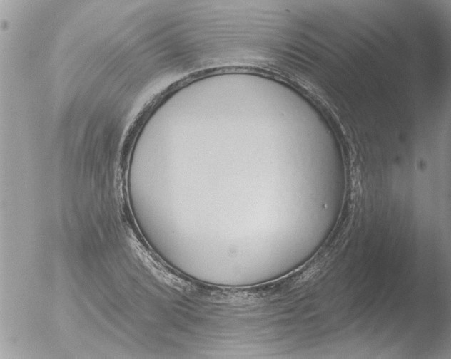 X0000051921072200507152051