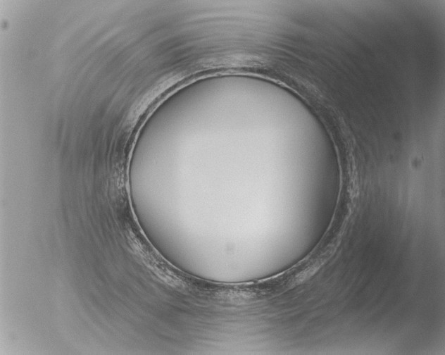 X0000051921073200507152051