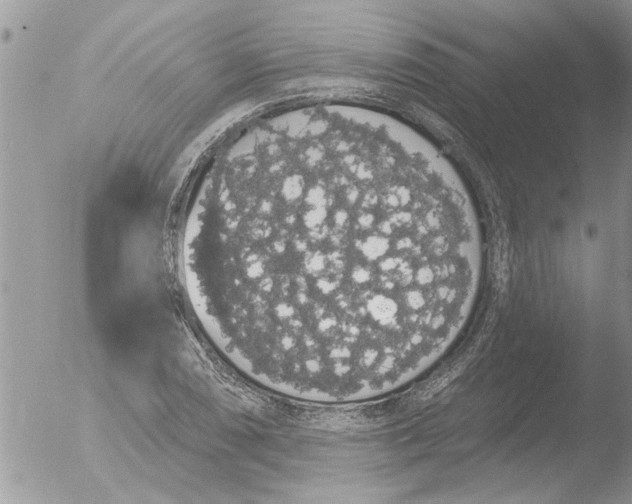 X0000051921074200507152051