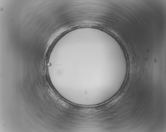 X0000051921075200507152051