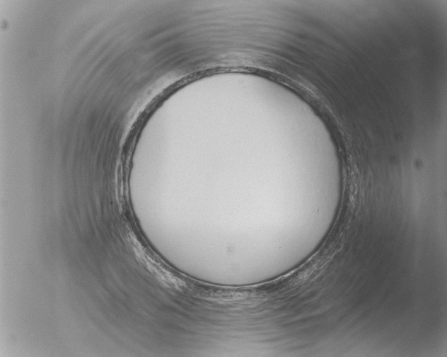 X0000051921076200507152051