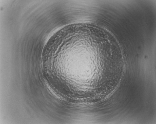 X0000051921077200507152051