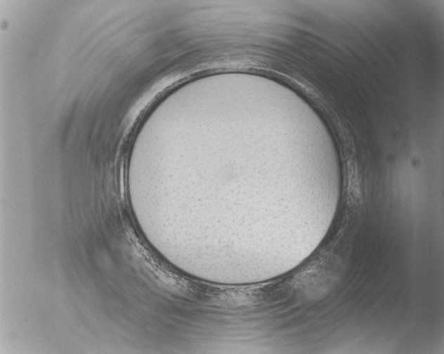 X0000051921078200507152051