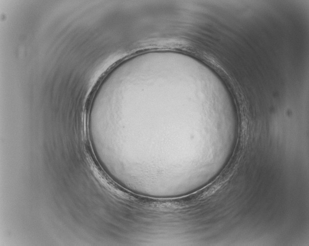 X0000051921079200507152051