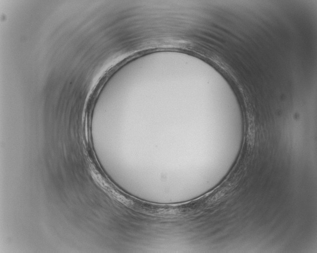 X0000051921080200507152051