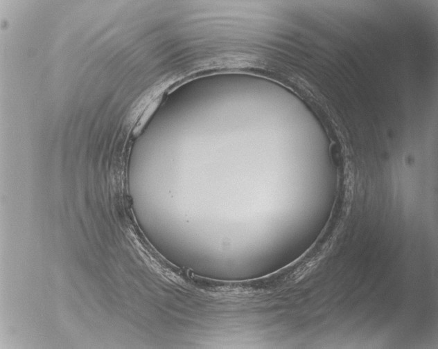 X0000051921081200507152051