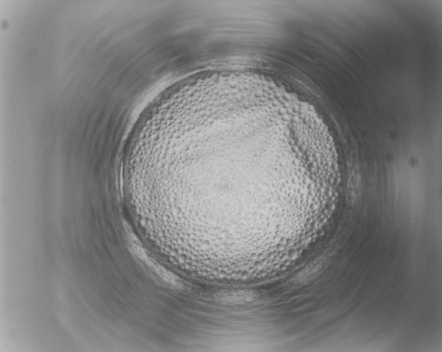 X0000051921083200507152051