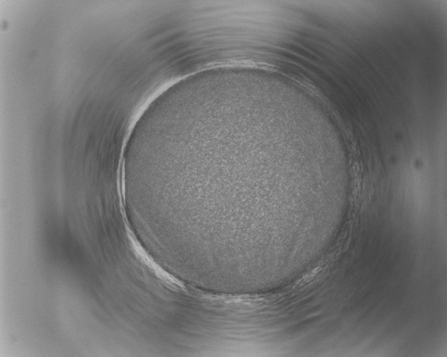 X0000051921084200507152051