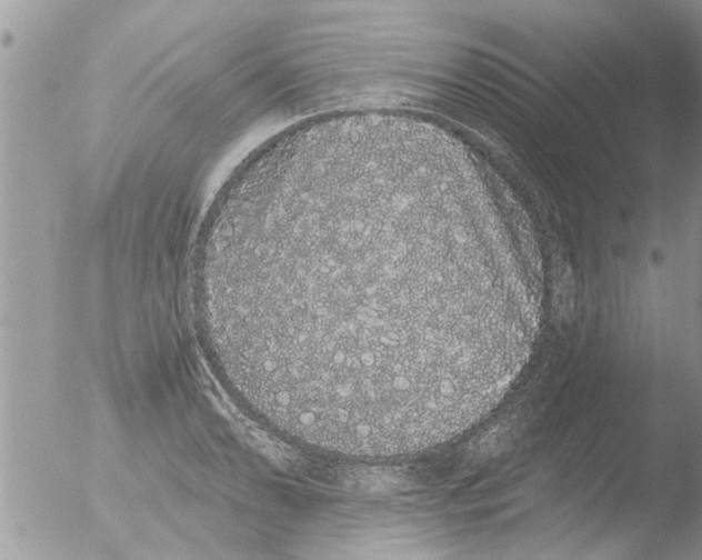 X0000051921086200507152050