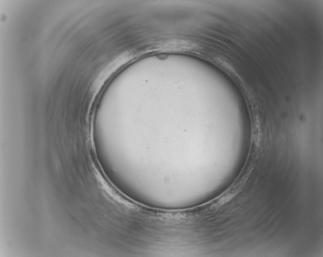 X0000051921087200507152050