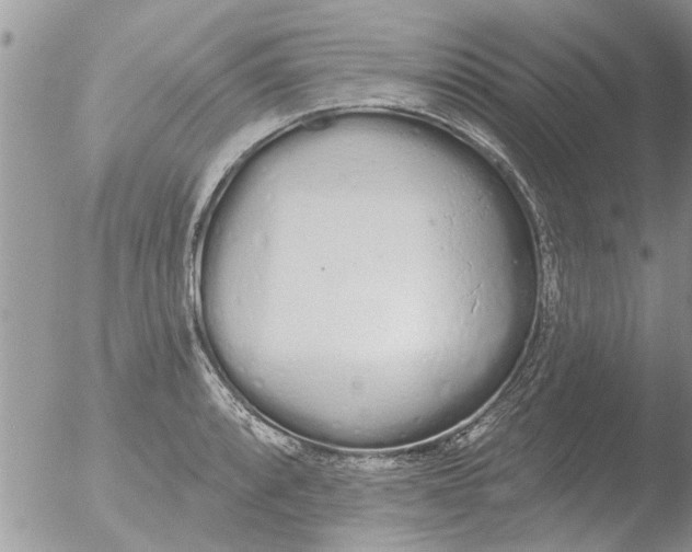 X0000051921088200507152050