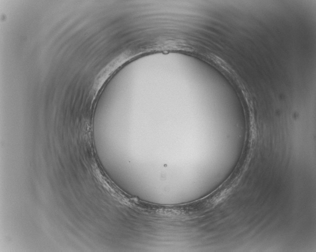 X0000051921089200507152050