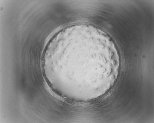 X0000051921090200507152050