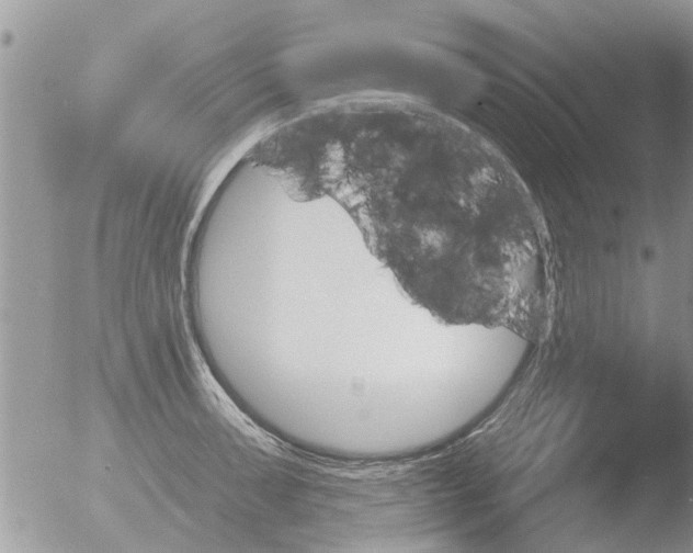 X0000051921091200507152050