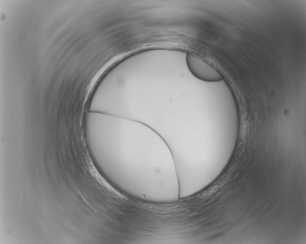 X0000051921092200507152050