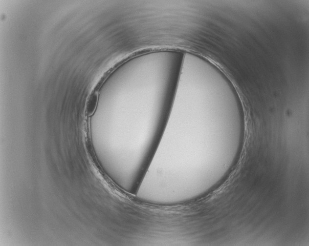 X0000051921093200507152050