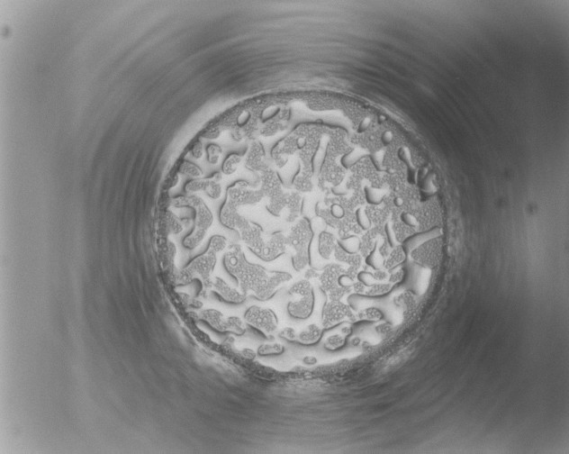 X0000051921094200507152050