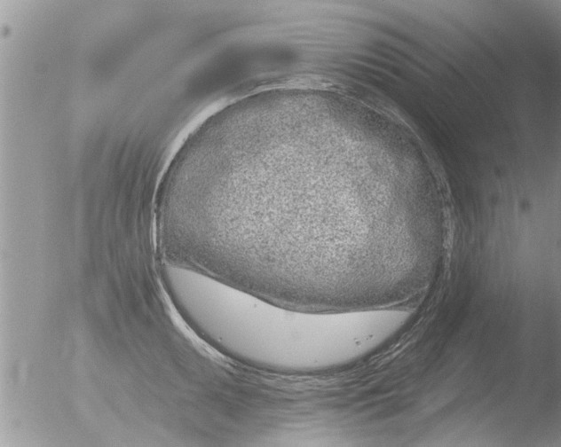 X0000051921095200507152050