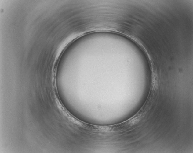 X0000051921096200507152050