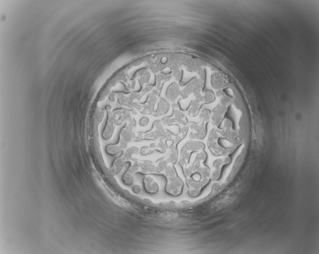 X0000051921098200507152050