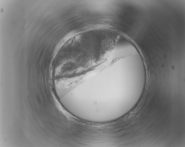 X0000051921099200507152050