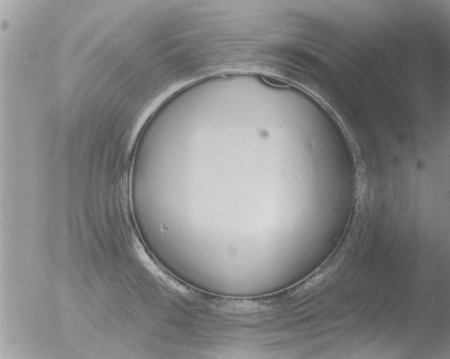 X0000051921100200507152050