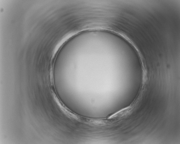 X0000051921101200507152050