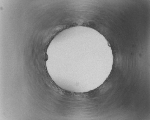 X0000051921105200507152049