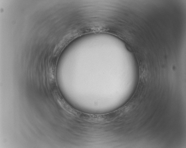 X0000051921106200507152049