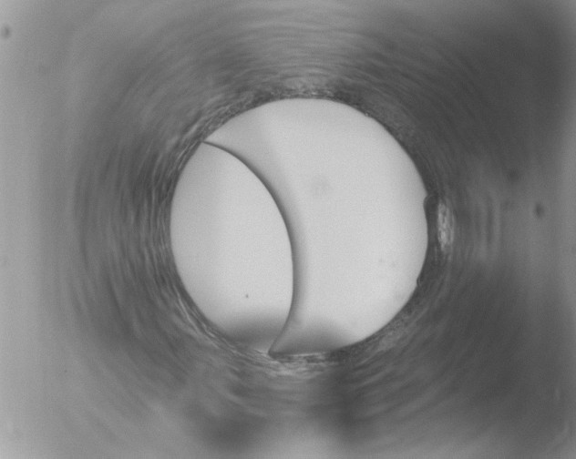 X0000051921107200507152049