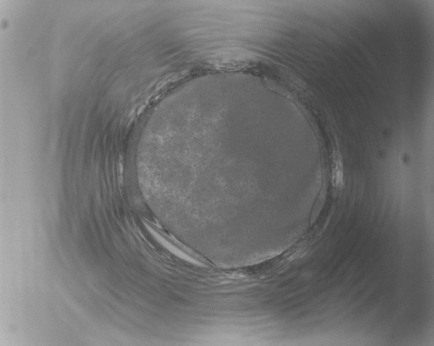 X0000051921108200507152049