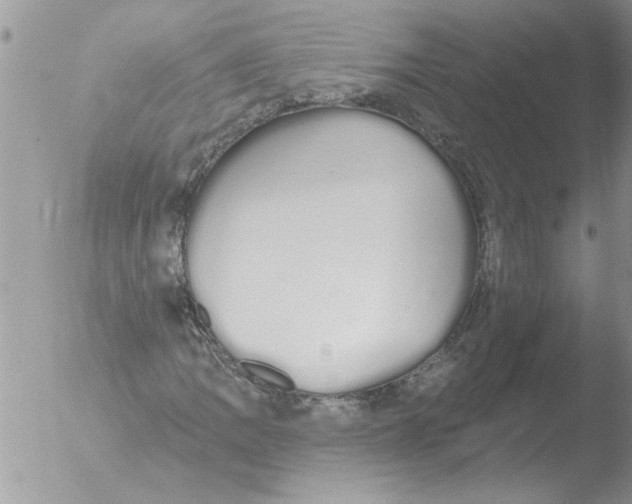 X0000051921109200507152049