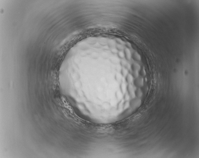 X0000051921110200507152049