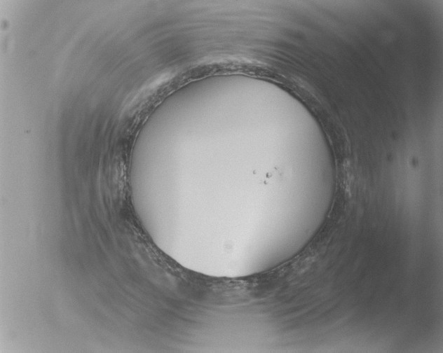 X0000051921111200507152049