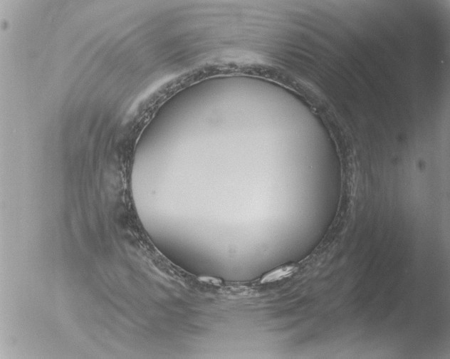 X0000051921112200507152049