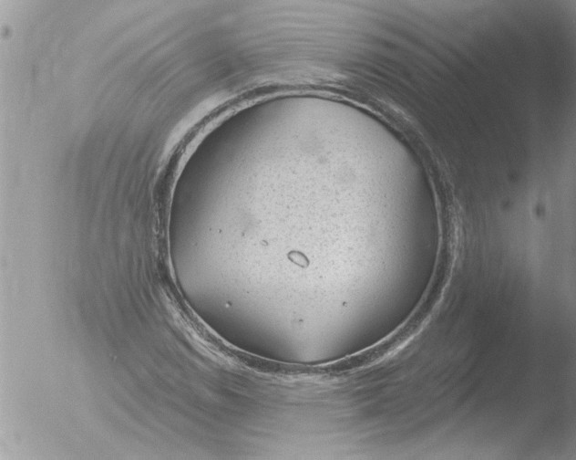 X0000051921114200507152050