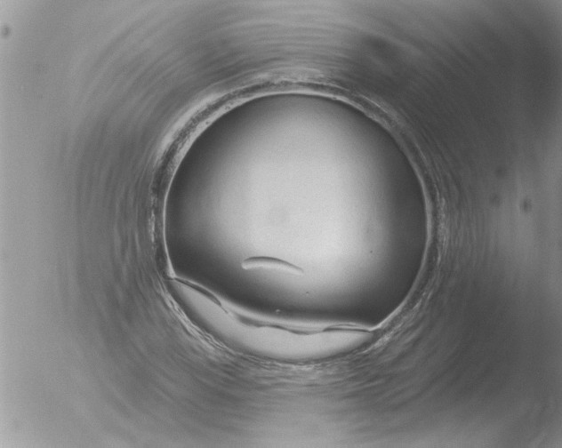 X0000051921115200507152050