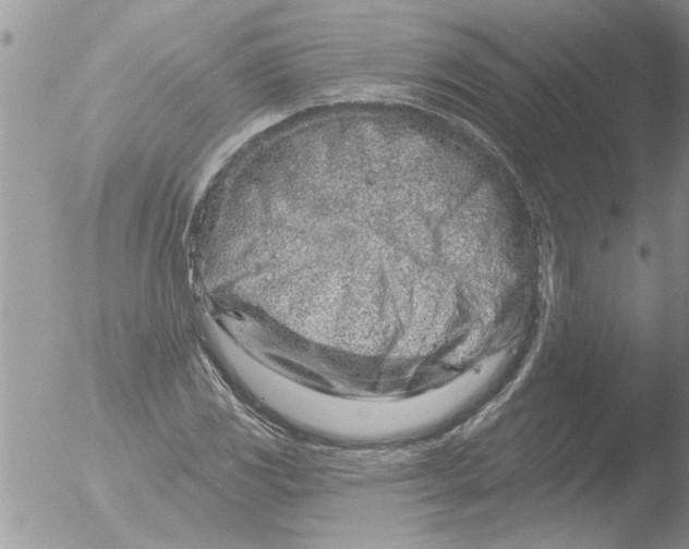 X0000051921117200507152050