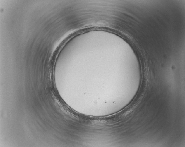 X0000051921118200507152050