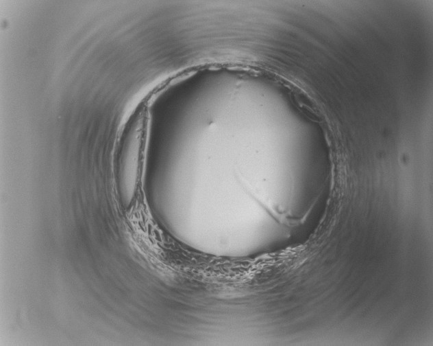 X0000051921120200507152050