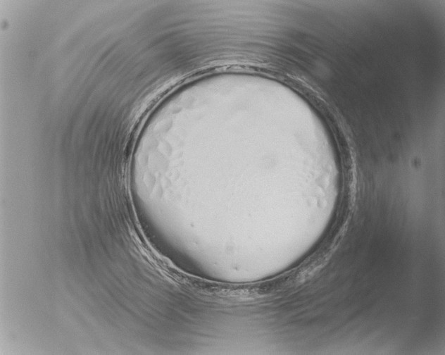 X0000051921121200507152050