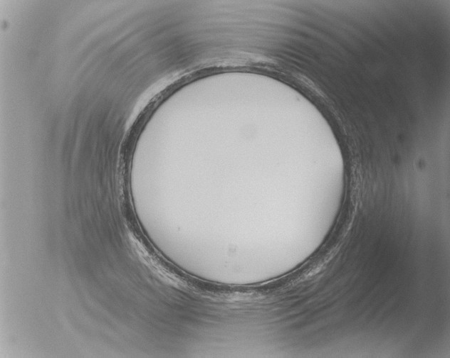 X0000051921122200507152050