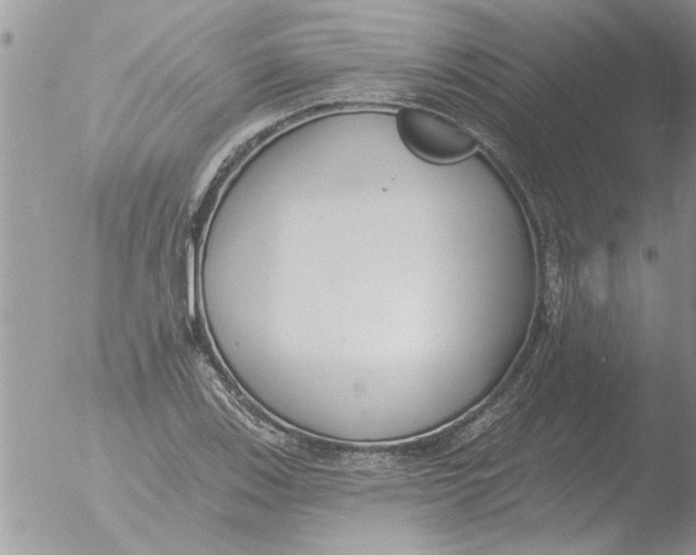 X0000051921123200507152050