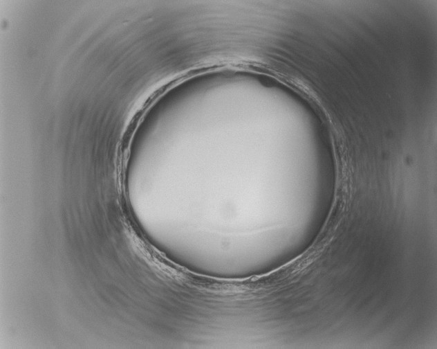 X0000051921124200507152050